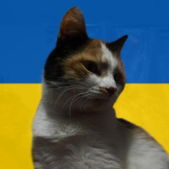 Yarosh