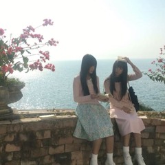 '🌿:✧˚.📷⋆𖧧: