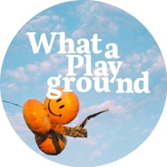 What a Playground