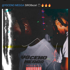 YGCENO_MEGGA
