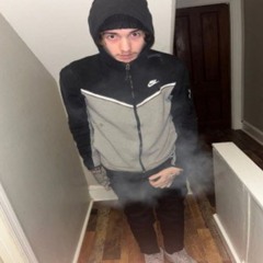 amir