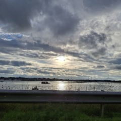 ByTheSeaAtDorset