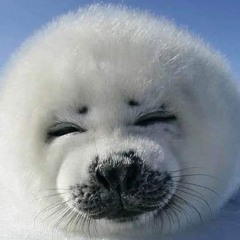 жвачка со вкусом смородины