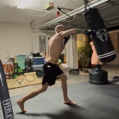 themolotovmma