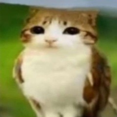 :b