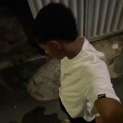 H.nsilva7z
