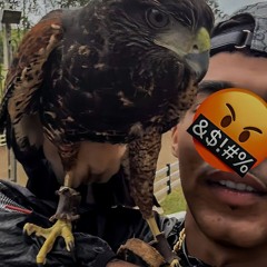 menorw2