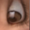 もんた