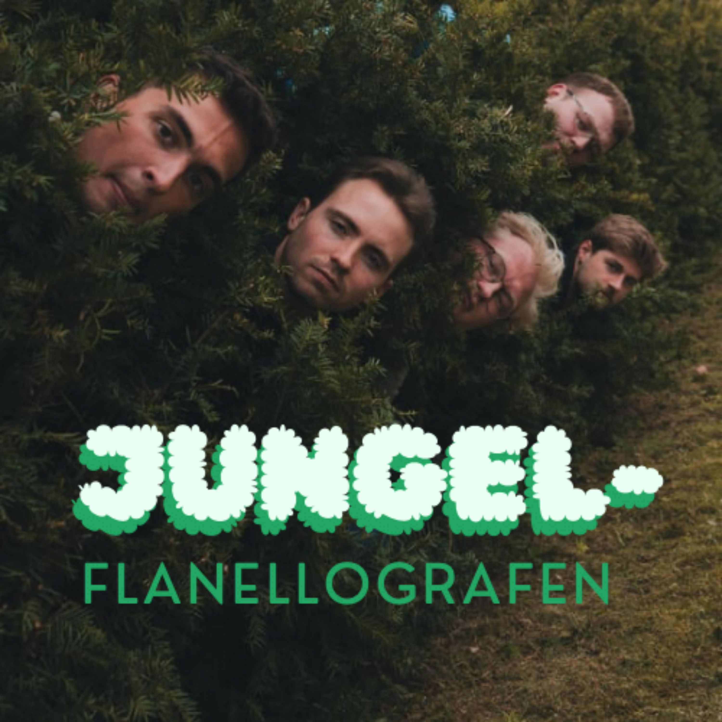 Jungelflanellografen