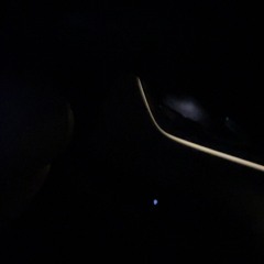 lune