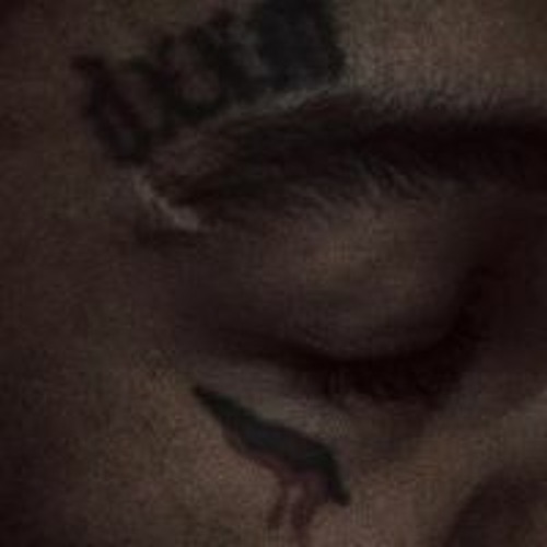 SoundCloud profile picture for @terrorism