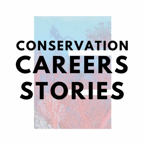 Andy Suggitt - Committee Conservation Career Stories