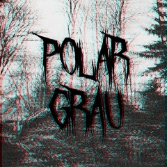 POLAR GRAU