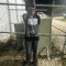 FryIdae