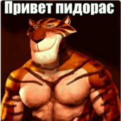 ALKASH