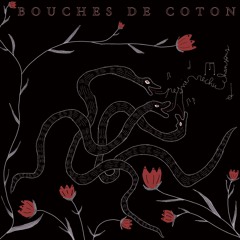 Bouches de coton