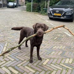 boesidestroyer