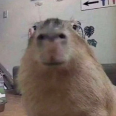 Kupoc