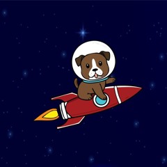 Space Puppies