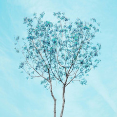 A7lam~