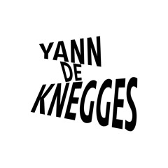 YANN de KNEGGES