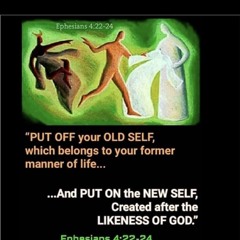 🌴🌺513PniSerepein691🌺🌴