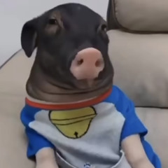 MyPitoMeows