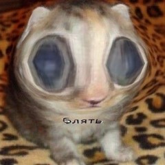 ah shit here we go again