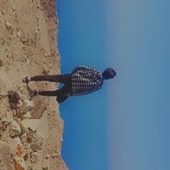 بهاء سعيد
