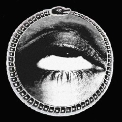 borninacid [the nobodies]