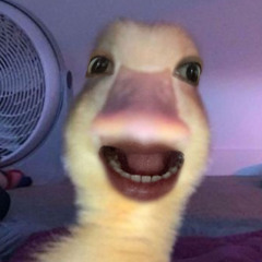 Anee