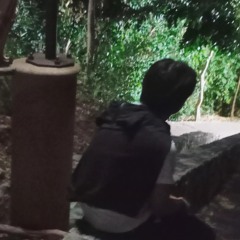 Xesnys