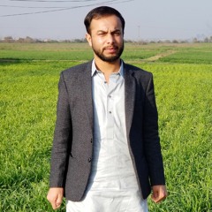 Raja Arslan