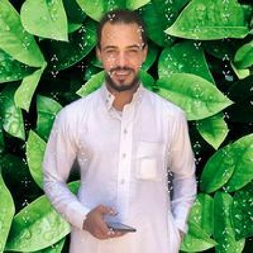 ELsayed Salah Elden’s avatar