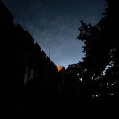 Lois Powell little version of me