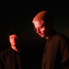 pølaroit