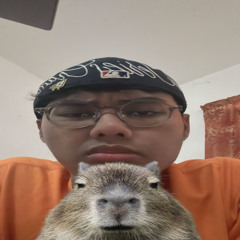 Anima