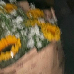 Un_happy