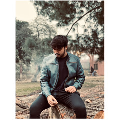 syed qalbe abbas