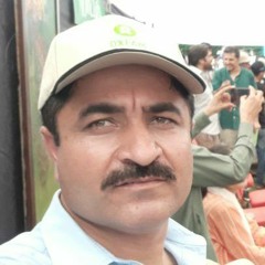 Arif Karim