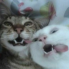 aaaaa
