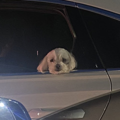 박희륜