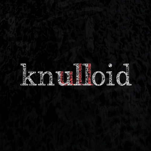 knulloid’s avatar