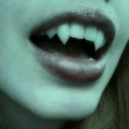 Vampire’s avatar