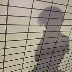 楸
