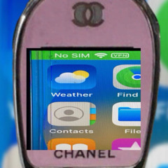 Delil&AVIE Passport