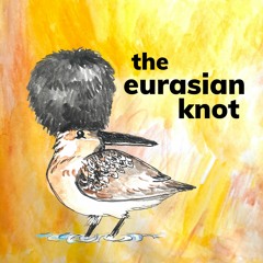 The Eurasian Knot