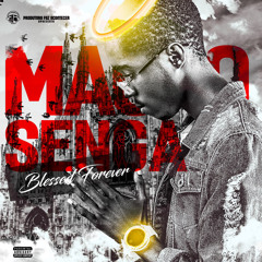 maurosenga_yv