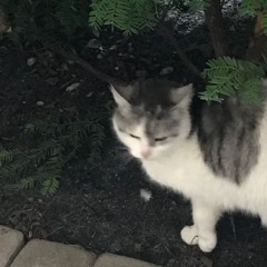 :p
