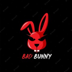 Bad bunny DJ